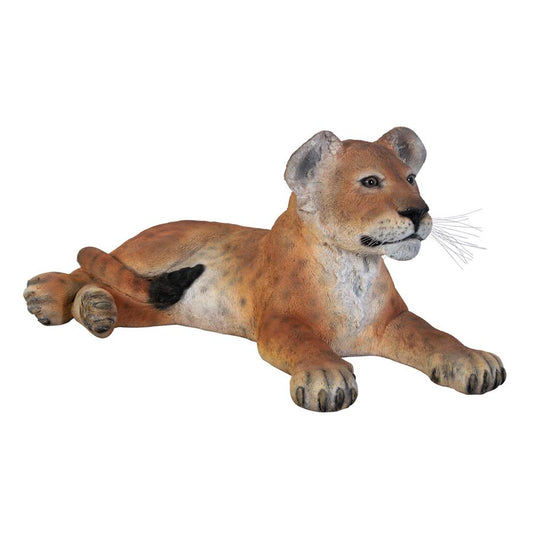 LION CUB LYING DOWN