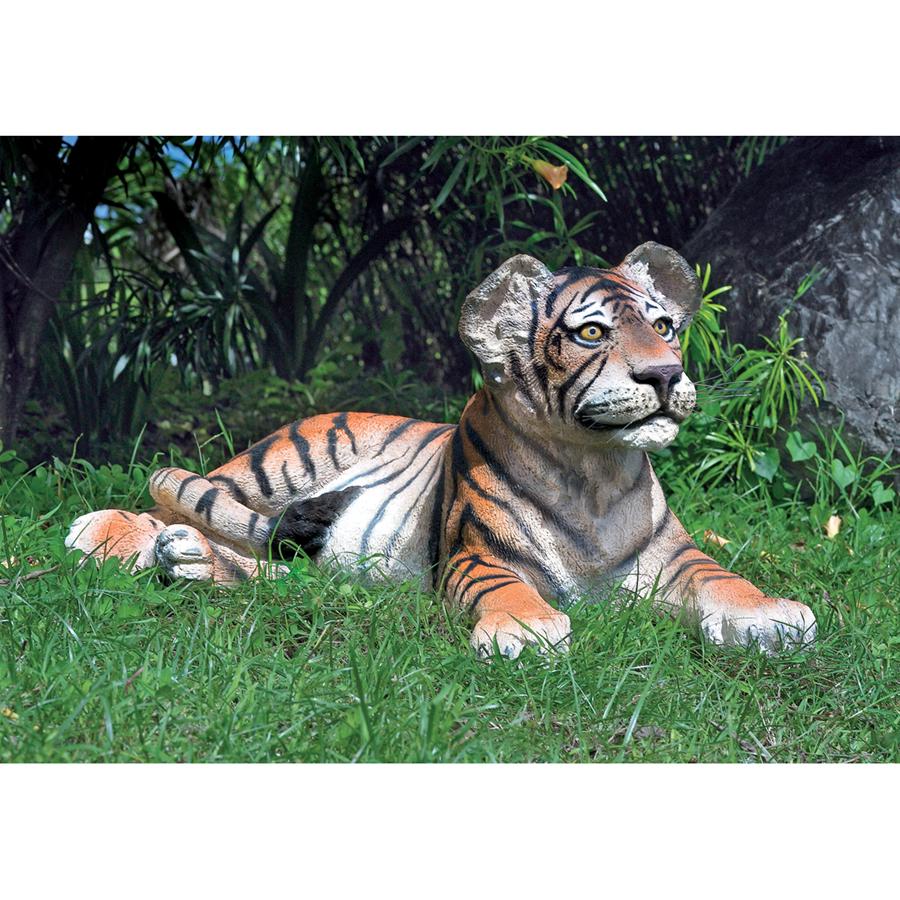 LYING DOWN TIGER CUB NR