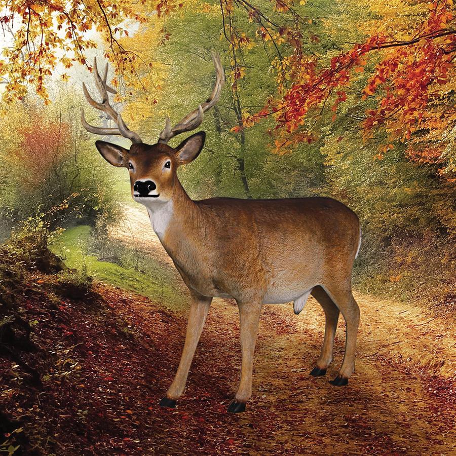 BUCK WHITE TAILED DEER STATUE FRT-NR